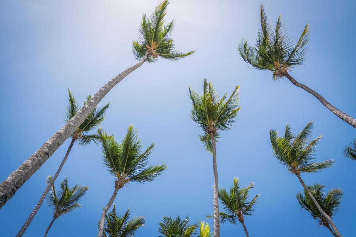 Don Cesar Lejlighedshotel Las Terrenas Eksteriør billede