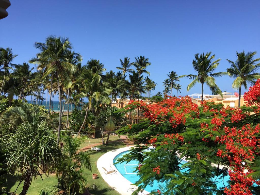Don Cesar Lejlighedshotel Las Terrenas Eksteriør billede